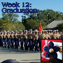 Load image into Gallery viewer, 'Dress Blues' Blossom